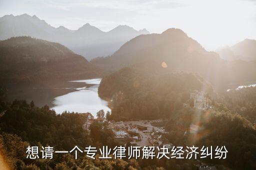 想請(qǐng)一個(gè)專業(yè)律師解決經(jīng)濟(jì)糾紛