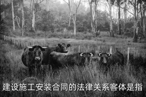 建設(shè)施工安裝合同的法律關(guān)系客體是指