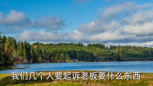 起訴老板需要什么證據(jù)，我們幾個(gè)人要起訴老板要什么東西