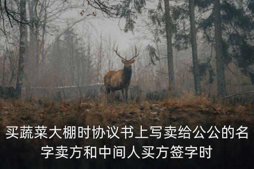 買蔬菜大棚時協(xié)議書上寫賣給公公的名字賣方和中間人買方簽字時