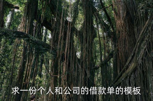 企業(yè)向個(gè)人借款合同模板圖片，求一公司向個(gè)人借款的借款合同范本