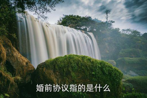婚前 協(xié)議，婚前協(xié)議指的是什么