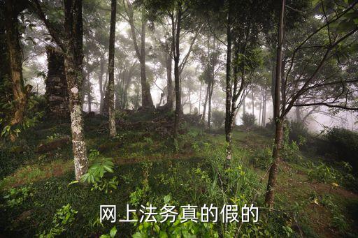 網上法務真的假的