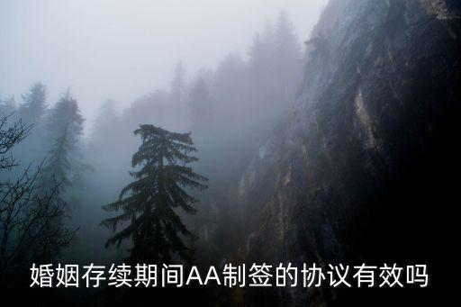 婚姻存續(xù)期間AA制簽的協議有效嗎