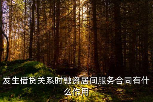 發(fā)生借貸關(guān)系時(shí)融資居間服務(wù)合同有什么作用