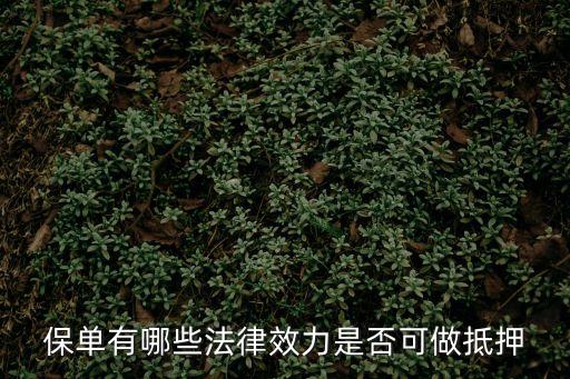 保單的法律效力，保險憑證和保險單的法律效力