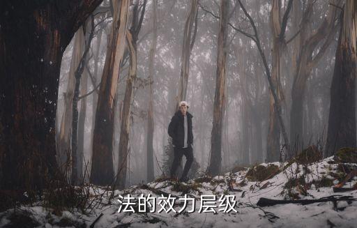 簡述法的效力層次的特殊規(guī)則，簡述法的效力層次的一般規(guī)則與特殊規(guī)則