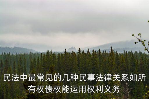 民法中最常見的幾種民事法律關(guān)系如所有權(quán)債權(quán)能運(yùn)用權(quán)利義務(wù)