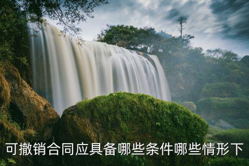 民法典 可撤銷合同的五種情形，可撤銷合同應(yīng)具備哪些條件哪些情形下