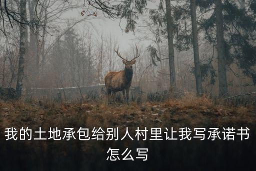 我的土地承包給別人村里讓我寫承諾書怎么寫