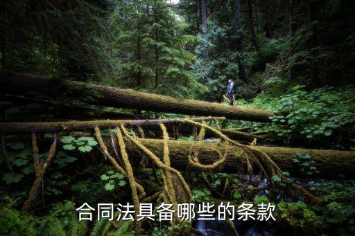 合同法具備哪些的條款