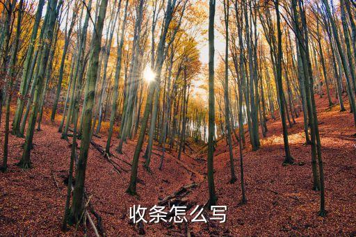 收條怎么寫
