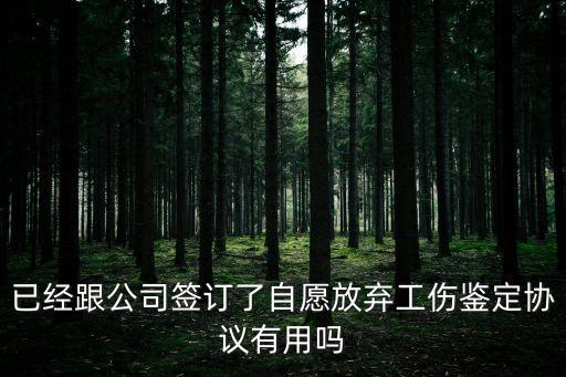 已經(jīng)跟公司簽訂了自愿放棄工傷鑒定協(xié)議有用嗎