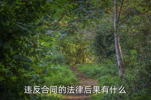 合同違法的法律后果有哪些，違反合同的法律后果