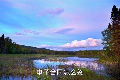 電子版簽署合同，電子合同怎么簽才是合法的