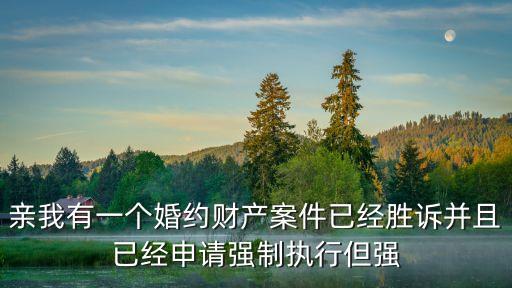 婚約財產(chǎn)糾紛案例，親我有一個婚約財產(chǎn)案件已經(jīng)勝訴并且已經(jīng)申請強制執(zhí)行但強