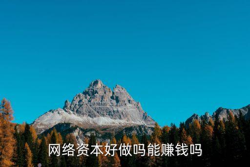網(wǎng)絡(luò)資本好做嗎能賺錢嗎
