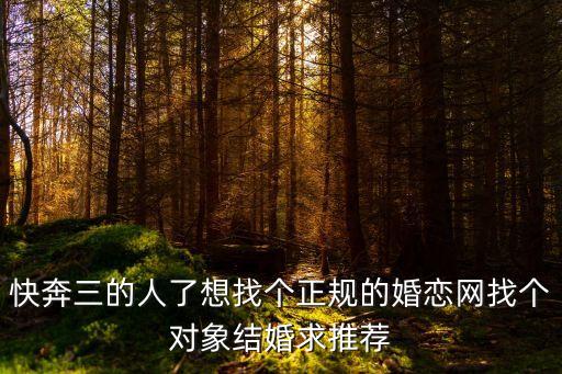 快奔三的人了想找個正規(guī)的婚戀網(wǎng)找個對象結(jié)婚求推薦