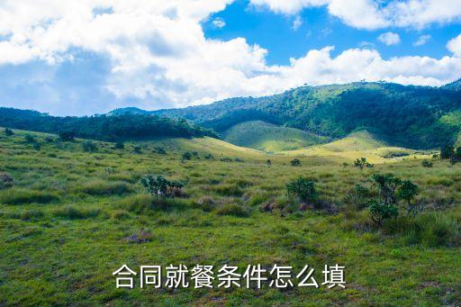 合同就餐條件怎么填