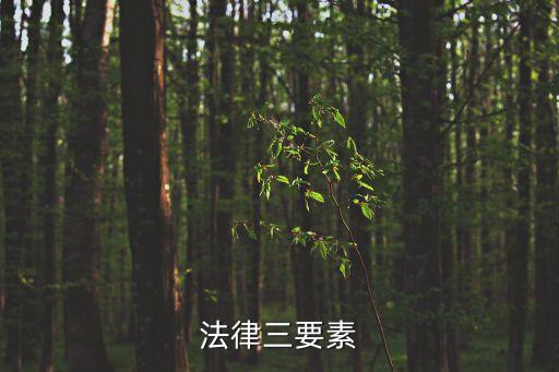 法律的三要素是指，法律關(guān)系是由主體客體和內(nèi)容三種要素構(gòu)成的其中法律關(guān)系的內(nèi)容
