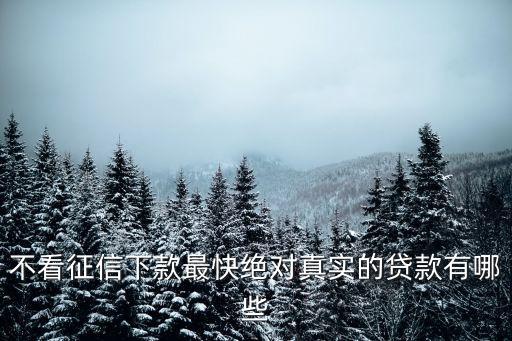 不看征信下款最快絕對(duì)真實(shí)的貸款有哪些