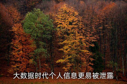 大數(shù)據(jù)時(shí)代個(gè)人信息更易被泄露
