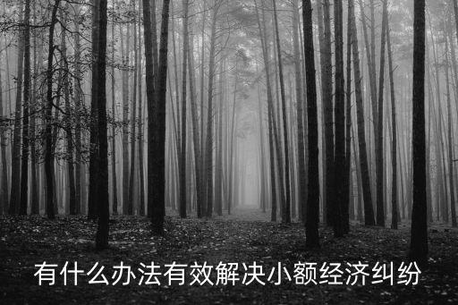 小額經(jīng)濟糾紛最有效處理方法，有什么辦法有效解決小額經(jīng)濟糾紛
