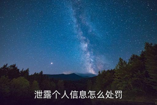 泄露個(gè)人信息怎么處罰