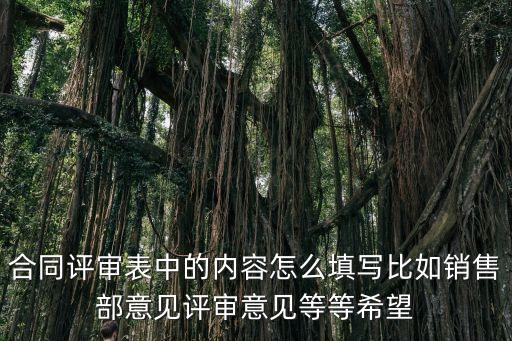 合同評審表中的內(nèi)容怎么填寫比如銷售部意見評審意見等等希望