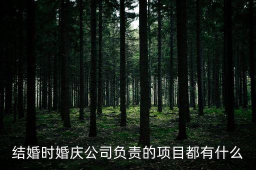 結(jié)婚時婚慶公司負(fù)責(zé)的項目都有什么