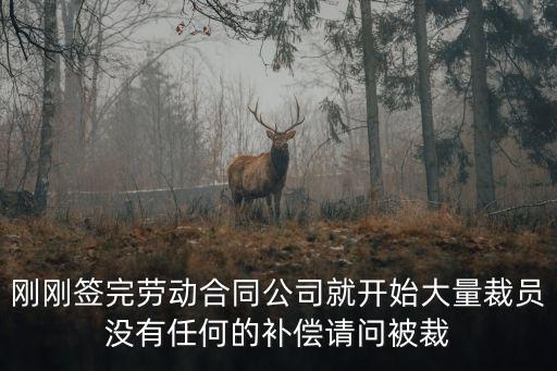 公司大批量裁員怎么辦，剛剛簽完勞動合同公司就開始大量裁員沒有任何的補償請問被裁