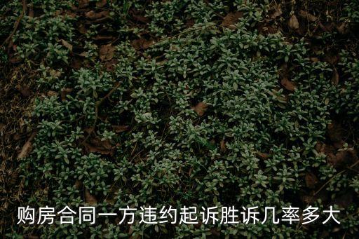 購房合同一方違約起訴勝訴幾率多大