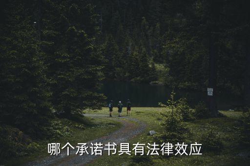 保證書(shū)和承諾書(shū)哪個(gè)更有法律效力，承諾和保證哪個(gè)更具法律效力