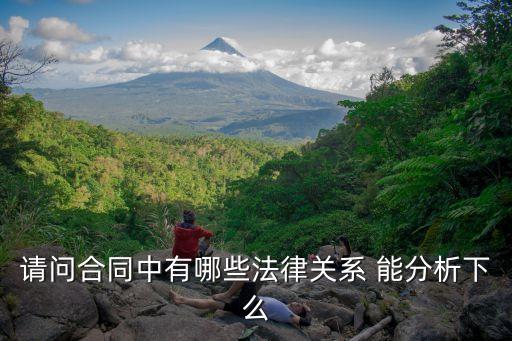請問合同中有哪些法律關系 能分析下么