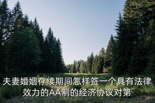 夫妻婚姻存續(xù)期間怎樣簽一個具有法律效力的AA制的經(jīng)濟協(xié)議對第