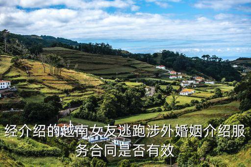 經(jīng)介紹的越南女友逃跑涉外婚姻介紹服務(wù)合同是否有效