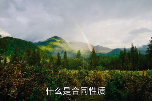 什么是合同性質(zhì)