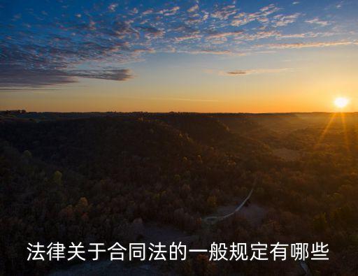 法律關(guān)于合同法的一般規(guī)定有哪些