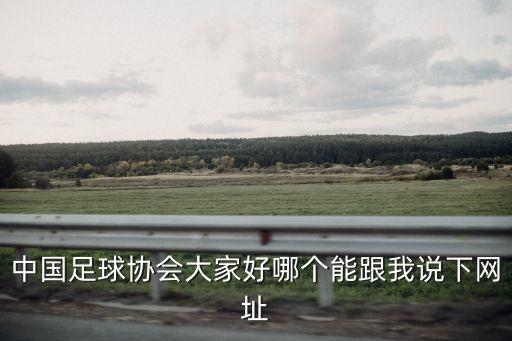 中國足球協(xié)會大家好哪個能跟我說下網(wǎng)址