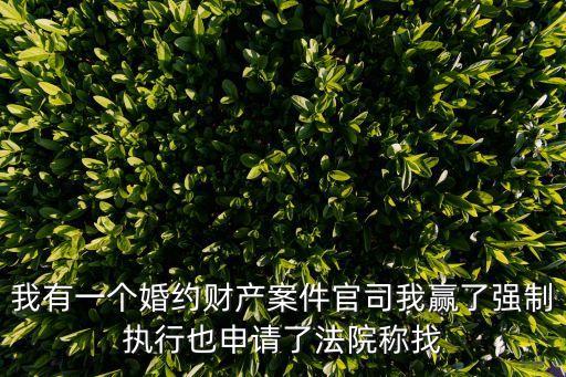 我有一個婚約財產(chǎn)案件官司我贏了強(qiáng)制執(zhí)行也申請了法院稱找