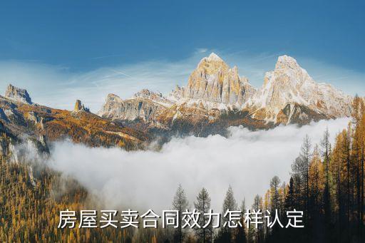 房屋買賣合同效力怎樣認定