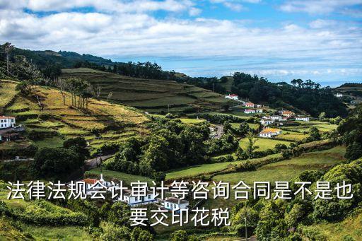 法律法規(guī)會計審計等咨詢合同是不是也要交印花稅