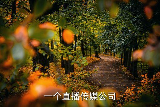 主播起訴傳媒公司案例，主播產(chǎn)生糾紛該如何解決呢