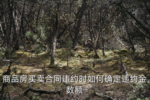 商品房買賣合同違約時如何確定違約金數(shù)額