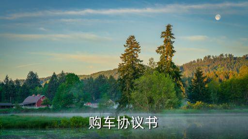 購車協(xié)議書范本簡單，購車協(xié)議書