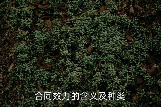 合同效力的類別與含義有哪些，合同的效力種類