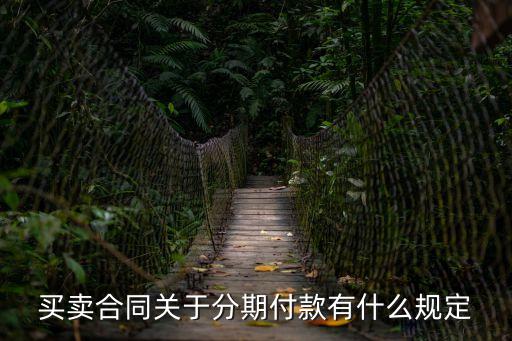 買(mǎi)賣(mài)合同關(guān)于分期付款有什么規(guī)定