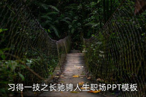 習(xí)得一技之長(zhǎng)馳騁人生職場(chǎng)PPT模板