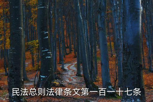 民法典583條條文，民法總則法律條文第一百一十七條