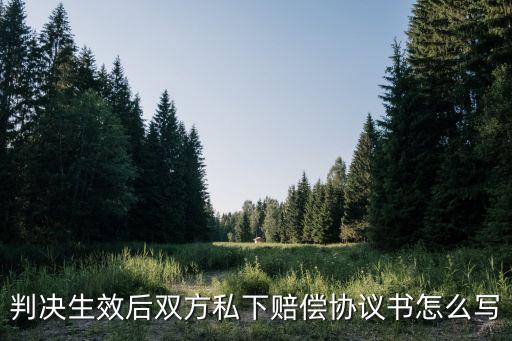 判決生效后雙方私下賠償協(xié)議書怎么寫
